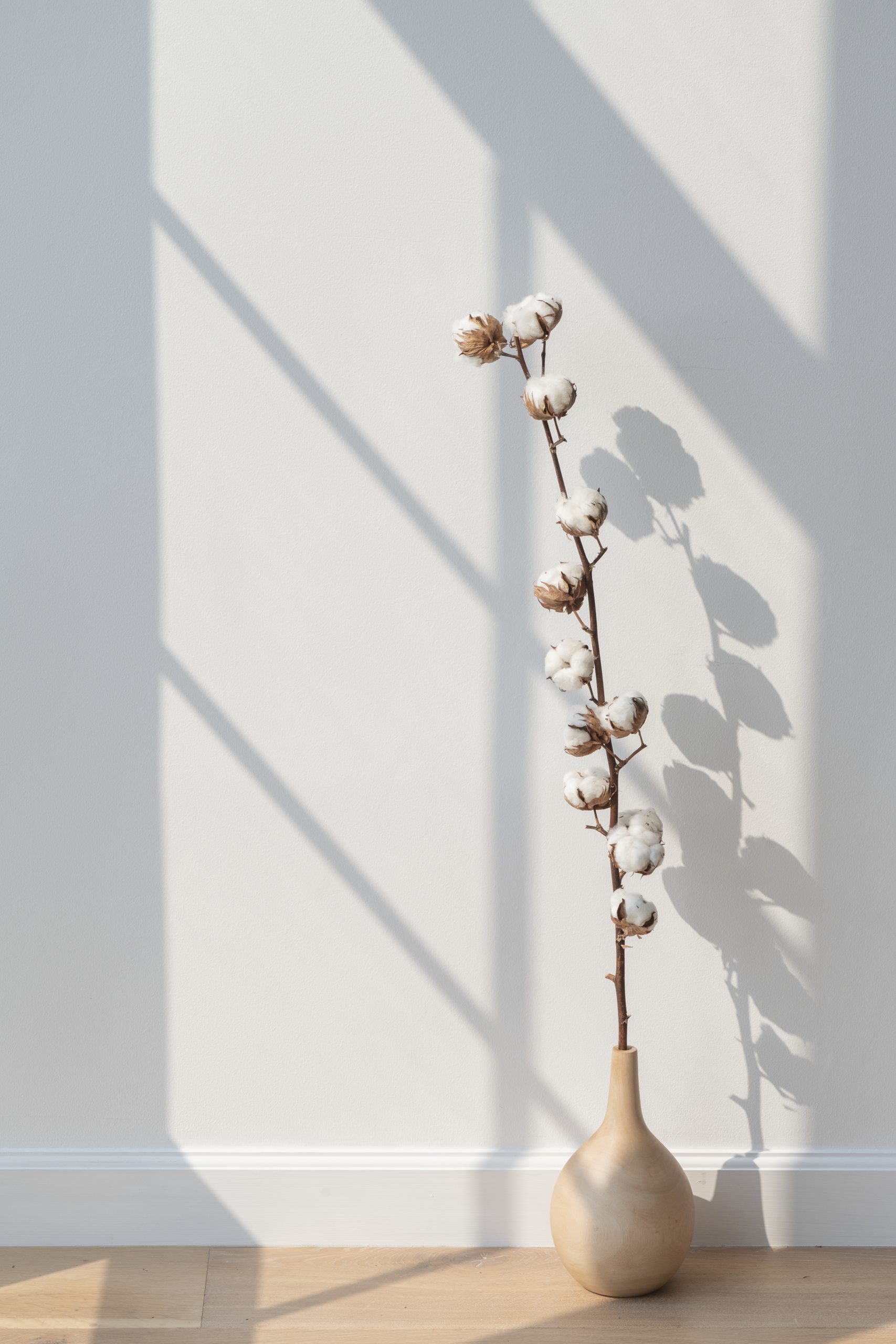 Katoenplant in houten vaas op een houten vloer Katoenplant in houten vaas op een houten vloer